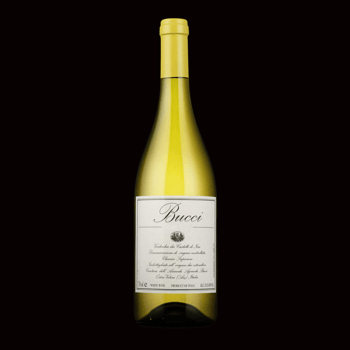 2021 - Fratelli Bucci - Verdicchio dei Castelli de Jesi Classico