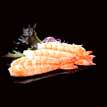 Ebi Sashimi