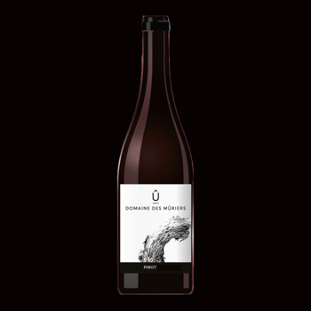 2023 - Domaine des Mûriers - Pinot Gris