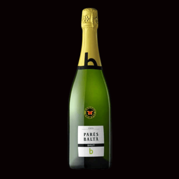 PARÉS BALTÀ CAVA BRUT