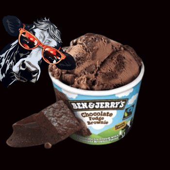 Ben & Jerry's Chocolate Fudge Brownie 