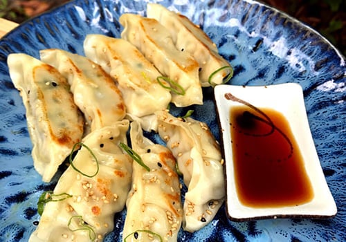 Chicken Gyoza