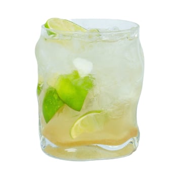 Refreshed Gin 0,5l