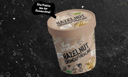 Vicecream Hazelnut Crunchy Praline 0,465l