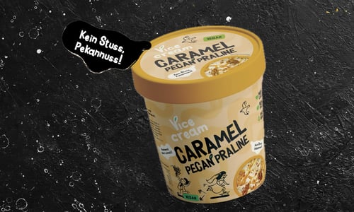 Vicecream Caramel Pecan Praline 0,465l