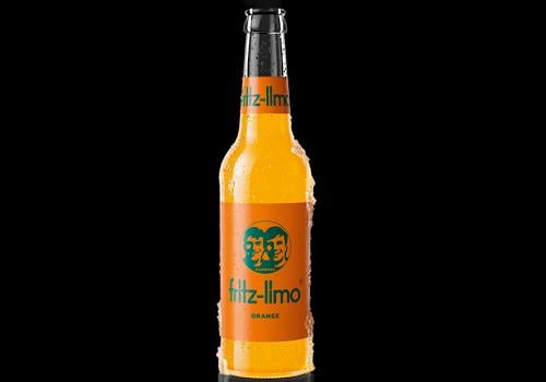 Fritz orange 0,33l (Einweg) Fritz orange 0,33l (Einweg)