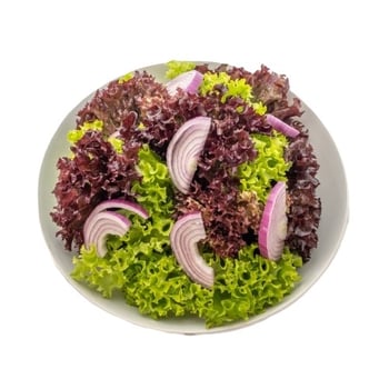 Grüner Salat Grüner Salat