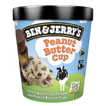 Ben and Jerry´s Peanut Butter Cup 465ml