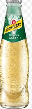 Ginger Ale 0,2l