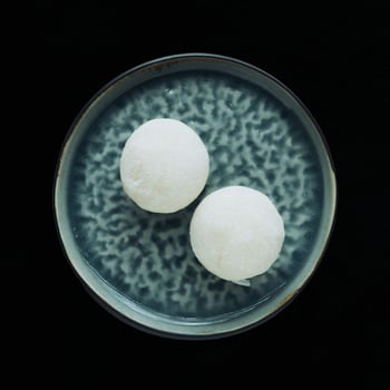 Mochi Vanilla Ice Cream