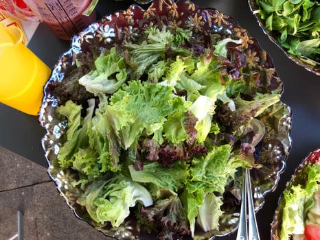 Grüner Salat
