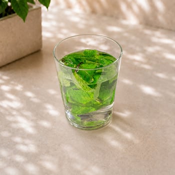  Fresh Mint Tea 12 Oz