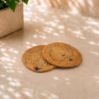 Classic Chocolate Chip Cookie