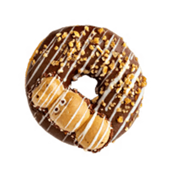  Cecilla Donut