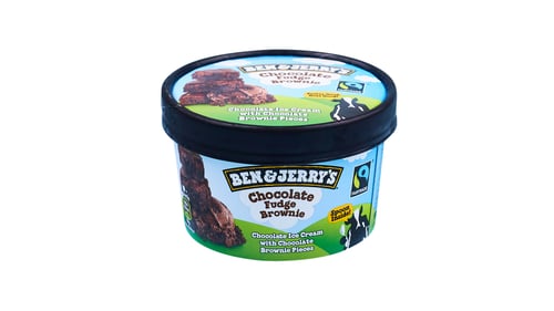 Ben & Jerry’s Chocolate Fudge Brownie 100ml