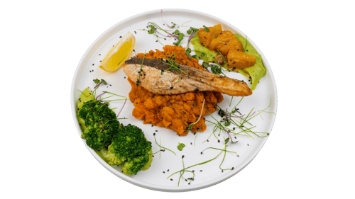 CLEAN GRILLED SALMON PLATE