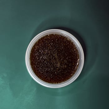 Ponzu Wasabi Dressing