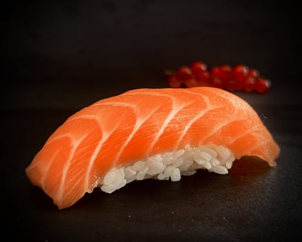 Sake Nigiri