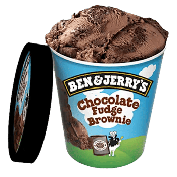Chocolate Fudge Brownie 465ml
