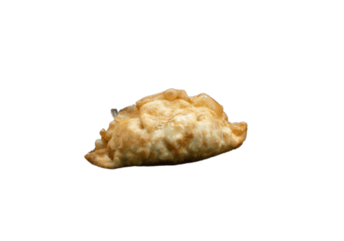 Gyoza Chicken