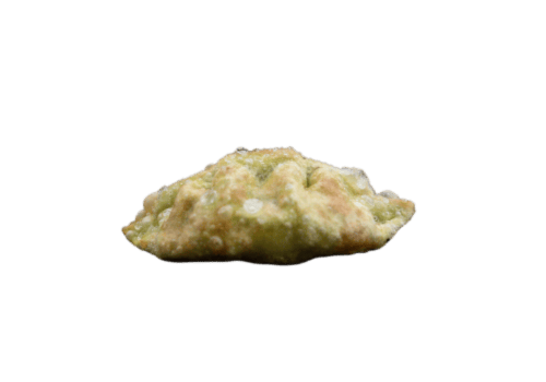 Vegan Gyoza