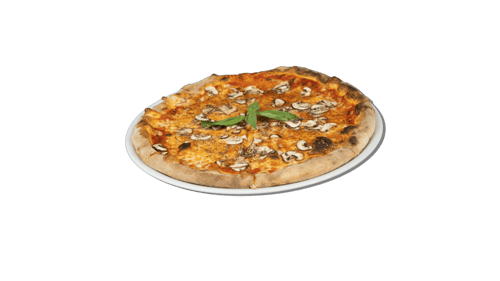 Pizza Funghi