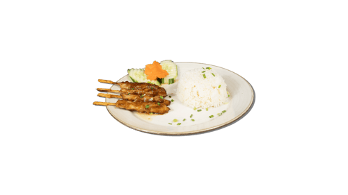 Yakitori Spiesse