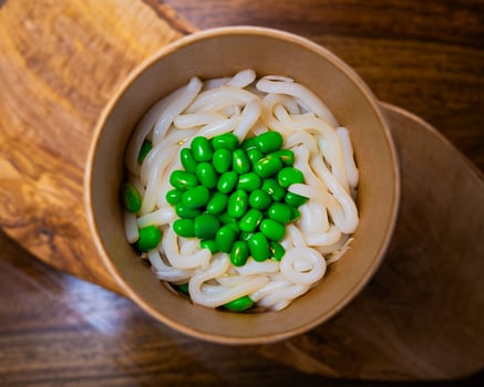 Udon Nudeln