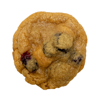 Blueberry Cookie
