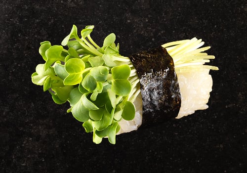 Daikonkresse Nigiri