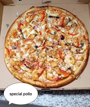 Pollo speciaal pizza Pollo speciaal pizza
