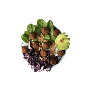 Plant Strong Plant Strong