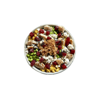 Protein Chicken Protein Chicken