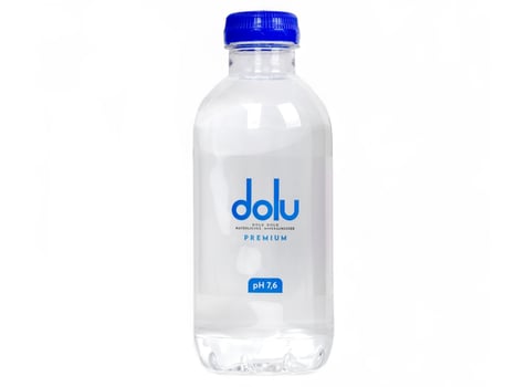 Dolu Wasser still 0,5l