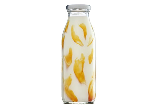 Milkshake Vanille 