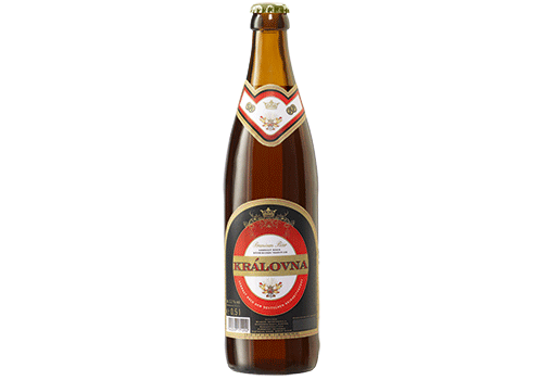 Královna 20x0,5l
