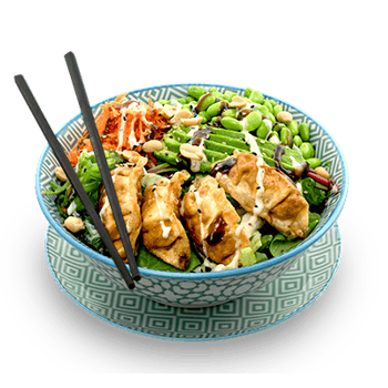 Yoko Poke Bowl Gyoza Chicken