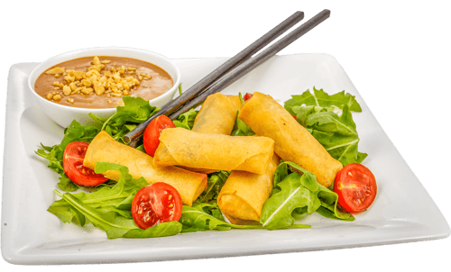 Mini Frühlingsrollen Vegetaria - 5 Stück