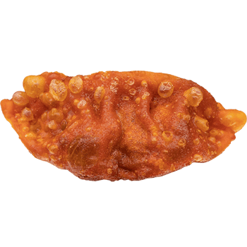 Gyoza Kimchi (4 Stück)