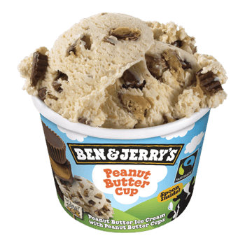 Ben & Jerry’s Peanut Butter Cup 100ml