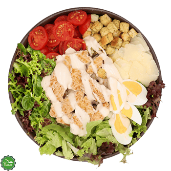 Julius Caesar Salat (normal)