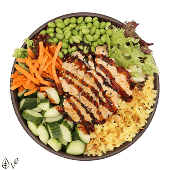 Teriyaki Planted.Chicken Reis (normal) Teriyaki Planted.Chicken Reis (normal)