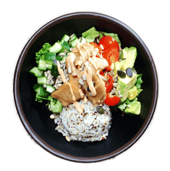 Avocado Chicken Reis