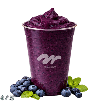 Blaubeer-Minze Frozen Iced Tea (0,4l)