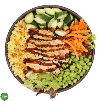 Teriyaki Chicken normal Teriyaki Chicken normal