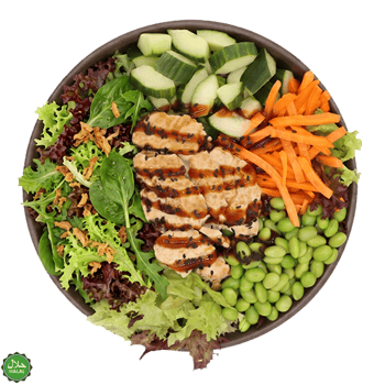 Teriyaki Chicken Salat (klein)