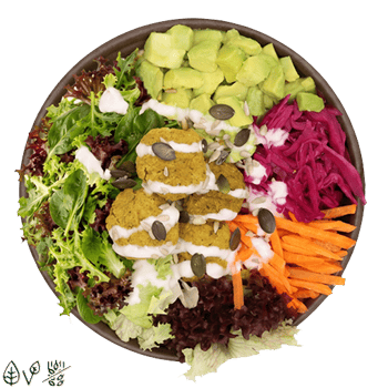 Falafel Freunde Salat (normal)