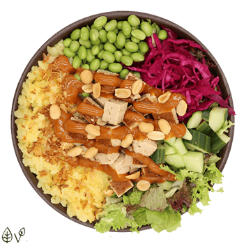 Soya Power normal Soya Power normal