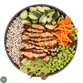 Teriyaki Chicken Reis (normal)