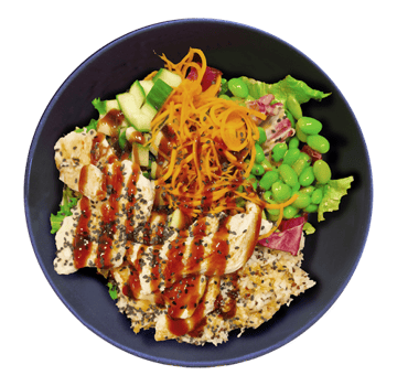 Planted Teriyaki Chicken
